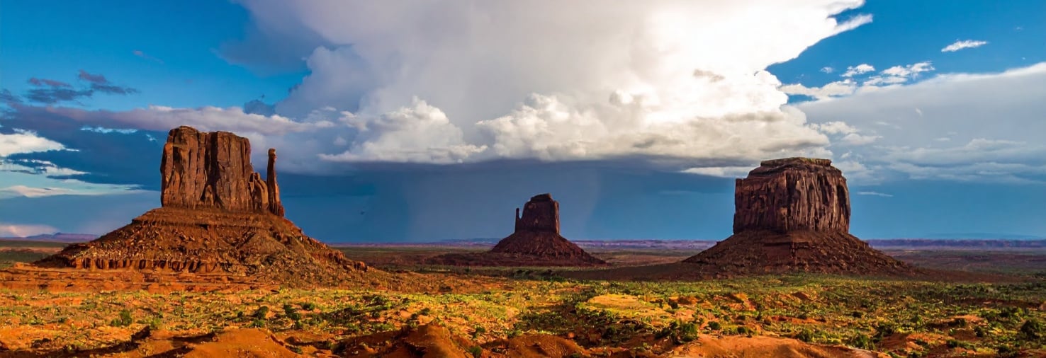 Our Values at Alder Lane